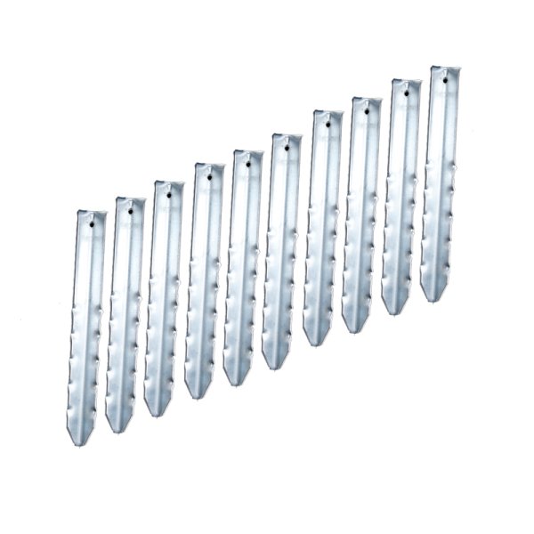 anneau mammouth - lot de 10